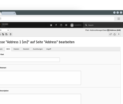 Address Manager SEO settings The most important seo settings are gathered here
