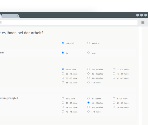 TYPO3 Poll Extension Radio Buttons TYPO3 Poll Extension Frontend Radio Buttons