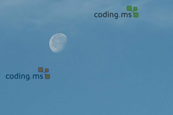 Example 5