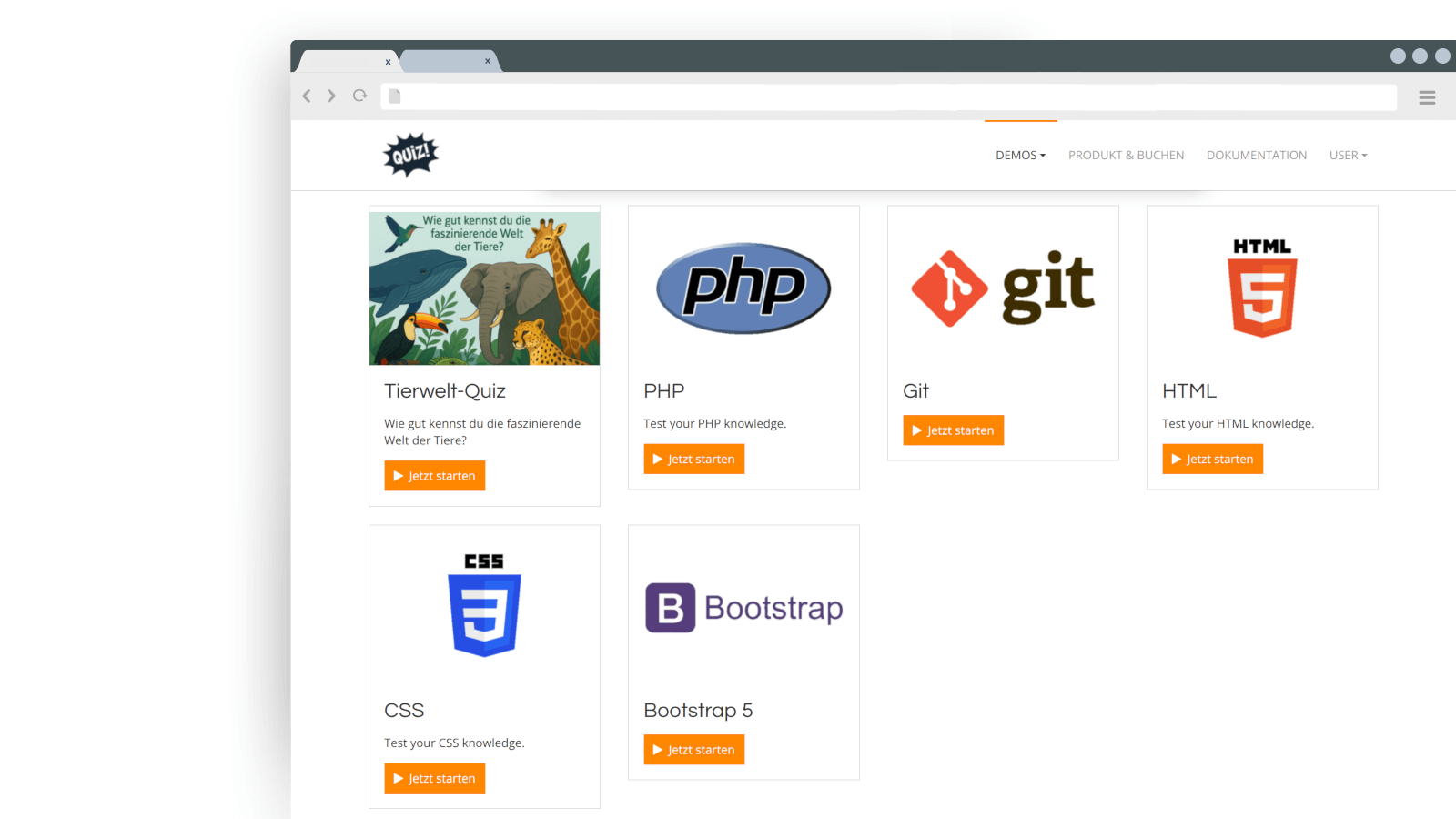 Frontend-Quiz-Overview-Browser.png