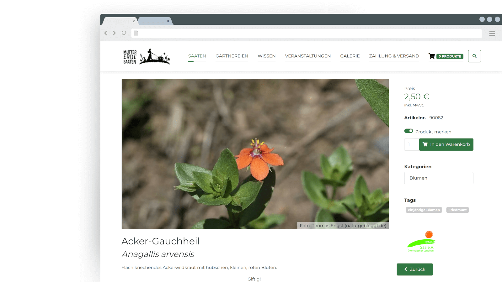 Referenz-MutterErderSaaten-Product_Browser.png